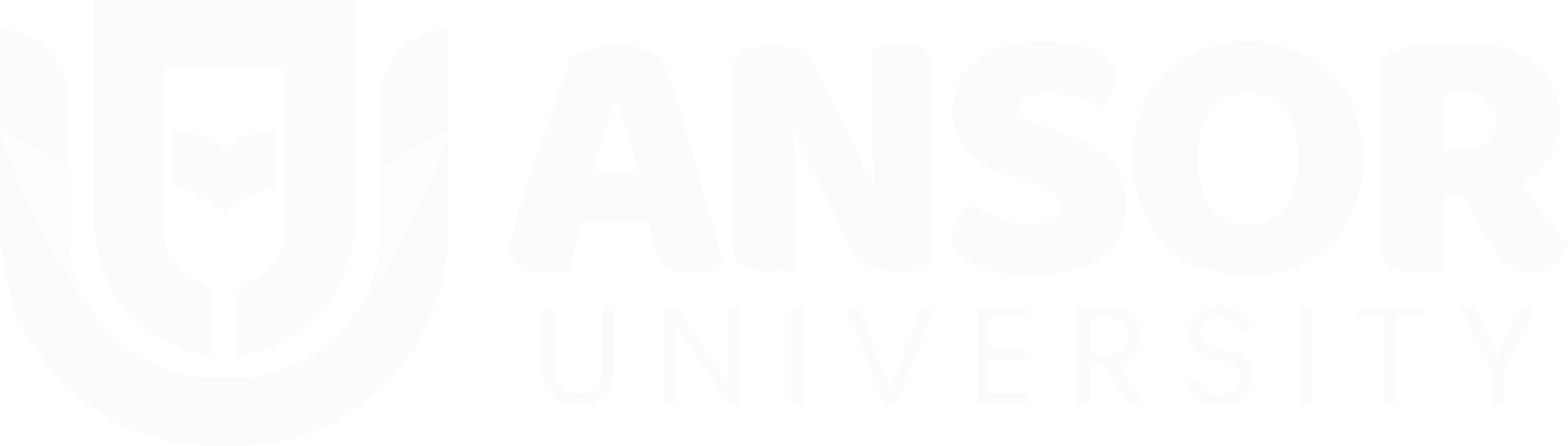LMS Ansor University